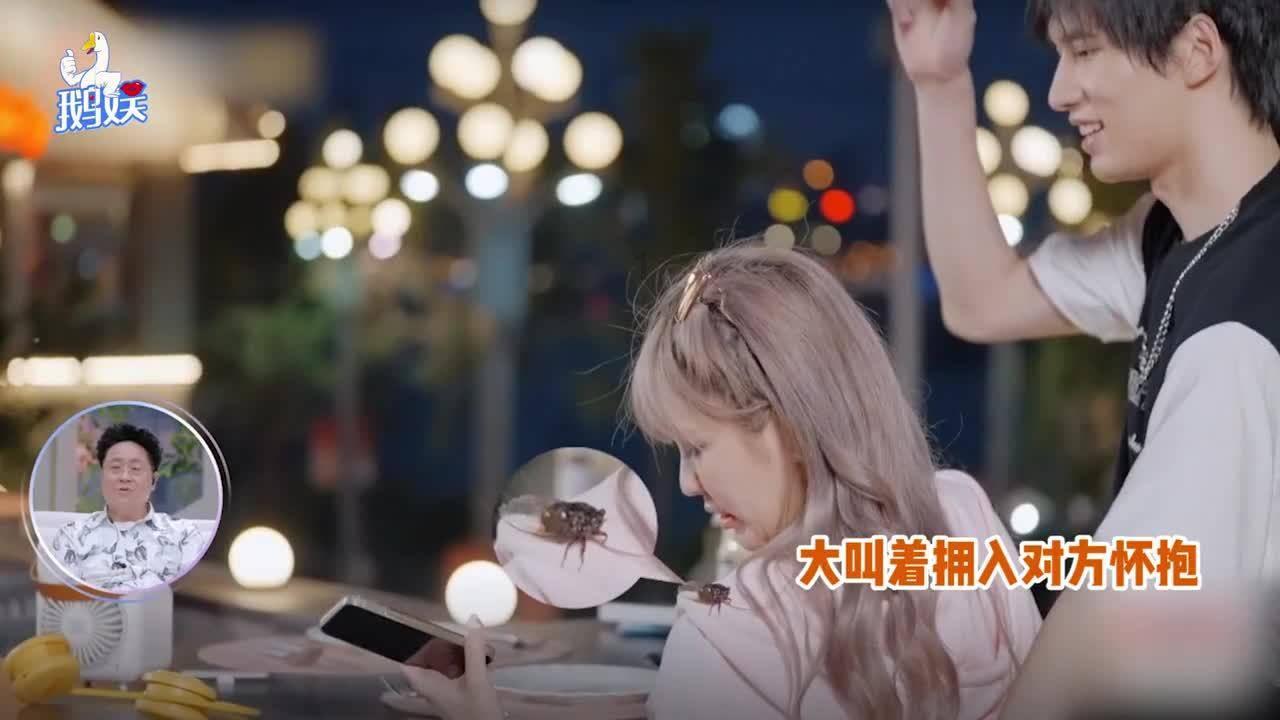 探索怎样用动物造句呢?,加入知识星球平台