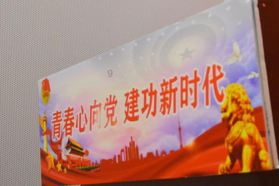 月光影视