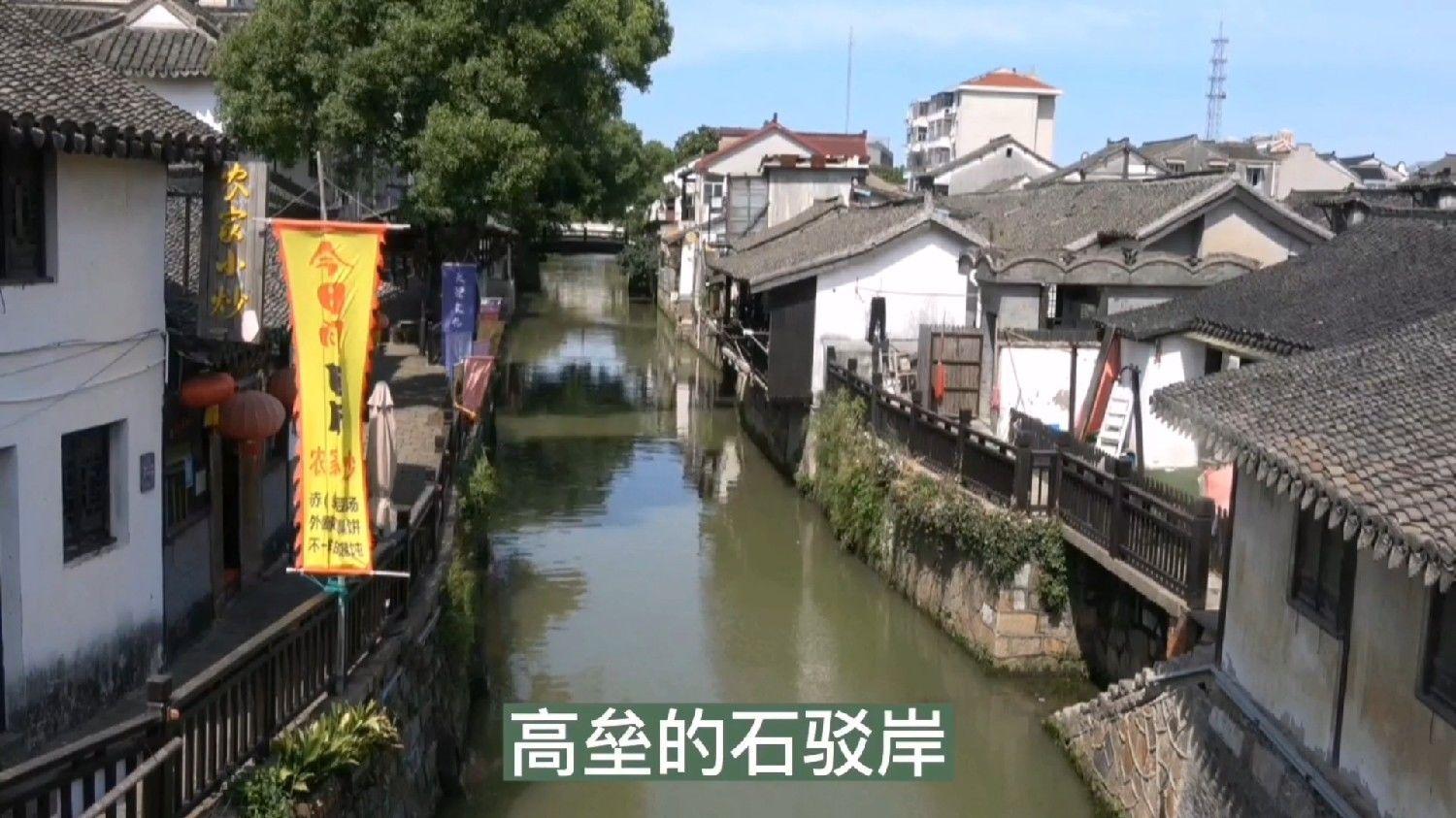 动物帮帮忙保卫家园